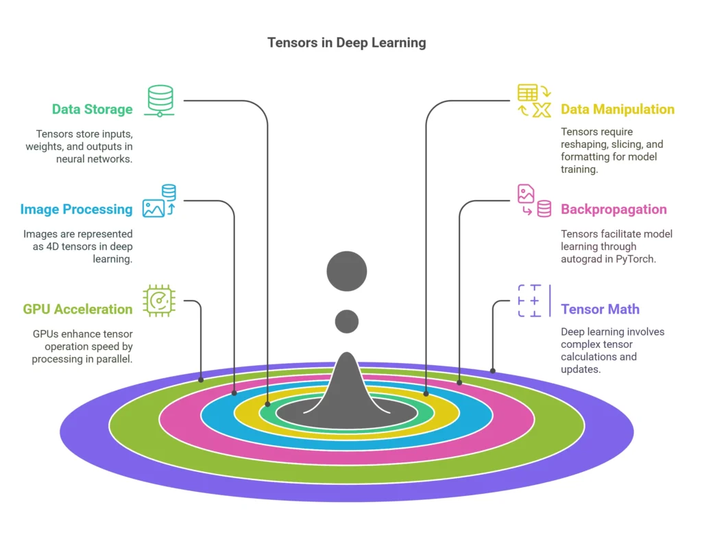 Tensors in PyTorch: A Beginner’s Introduction Infographic explaining the role of tensors in deep learning, including data storage, image processing, GPU acceleration, and backpropagation.