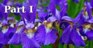 Read more about the article Part 1: Building Your First Machine Learning Model in Python: Data Preparation