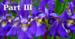 Read more about the article Part 3: Building Your First Machine Learning Model in Python: Model Evaluation & Prediction