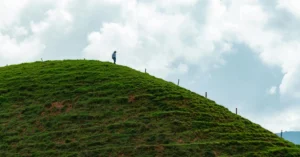 Read more about the article Linear Regression with PyTorch: A Comprehensive Guide