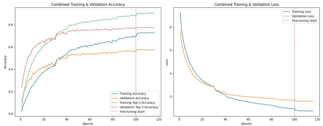 Fine Tuning InceptionV3 for Car Recognition: A Step-by-Step Keras Guide Combined accuracy and loss curves with a vertical line indicating the start of fine-tuning; validation metrics improve slightly after fine-tuning.