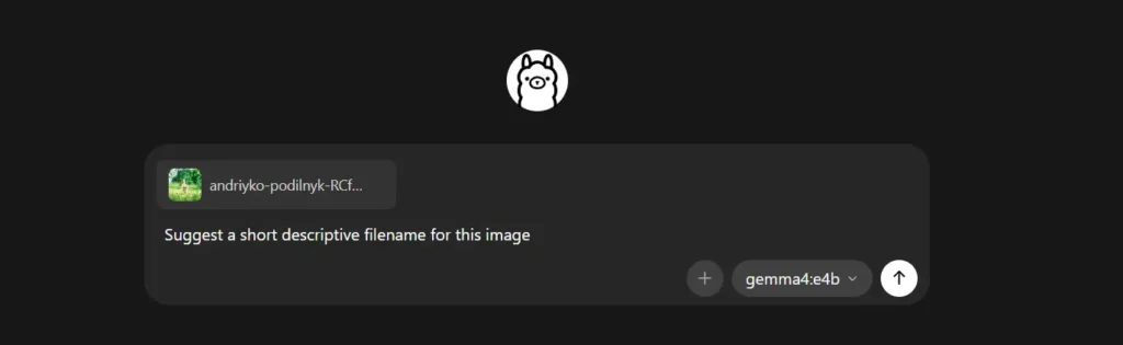 Gemma 4 Image Renaming App with Ollama Ollama app with Gemma 4 e4b selected, an uploaded cat image, and a prompt asking for a short descriptive filename